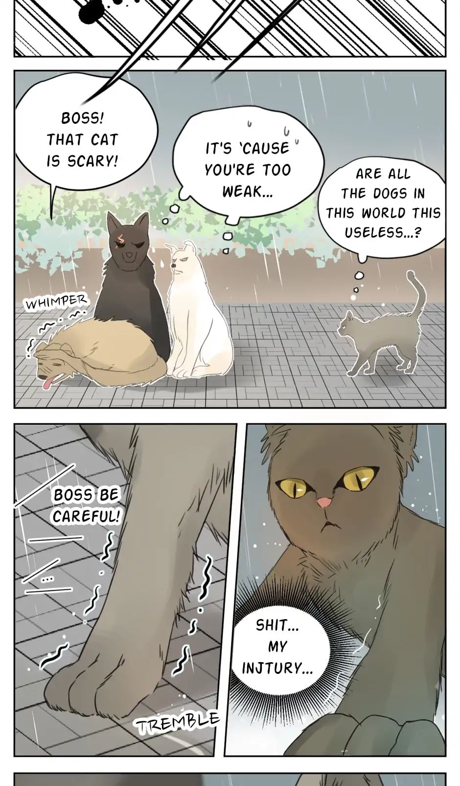 A World Ruled By Cats - Chapter 25