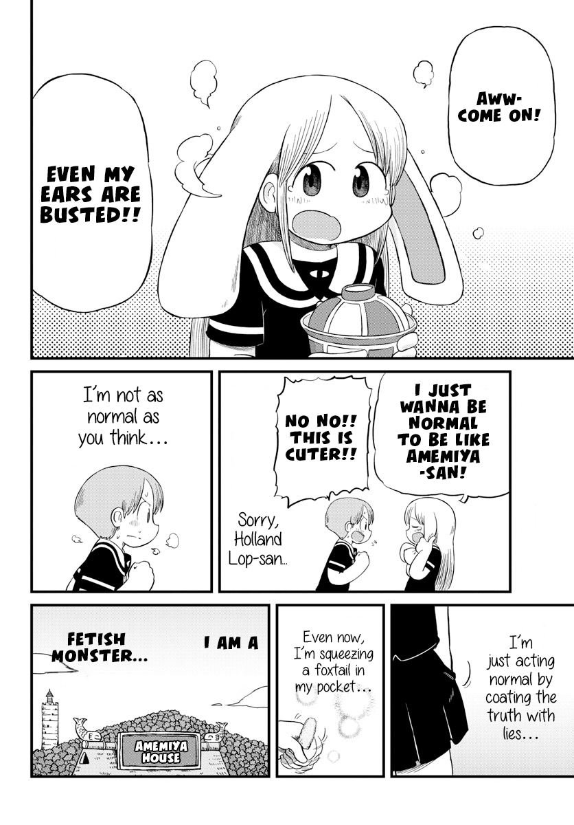 Amemiya-San - Chapter 13: Amemiya-San And Holland Lop