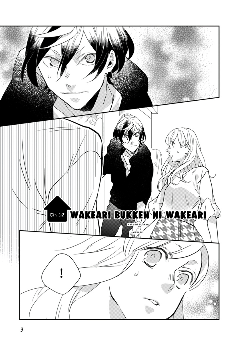 Wakeari Bukken Ni Wakeari - Vol.2 Chapter 12