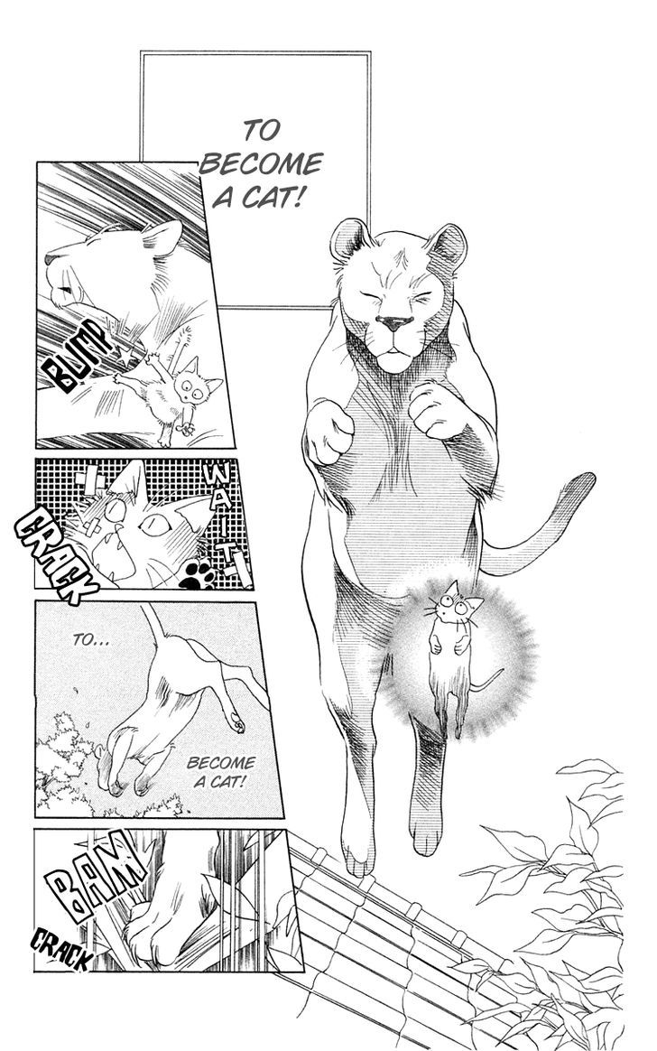 Wild Cats - Vol.1 Chapter 1