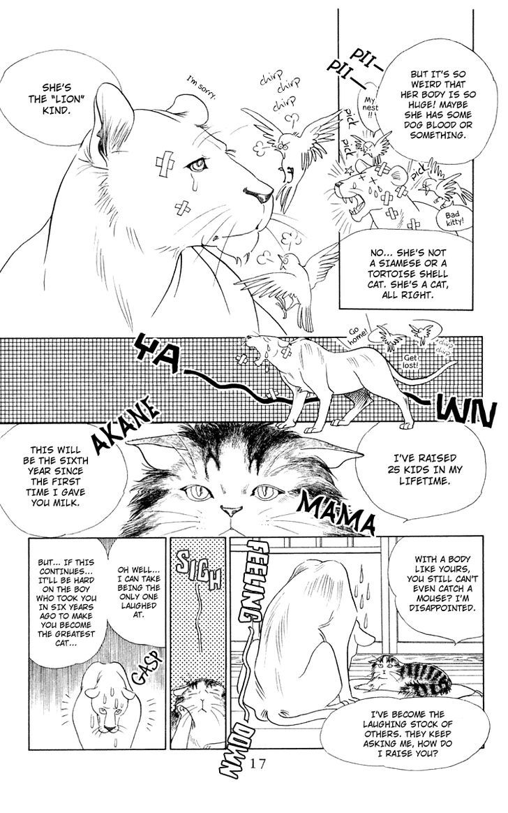 Wild Cats - Vol.1 Chapter 1