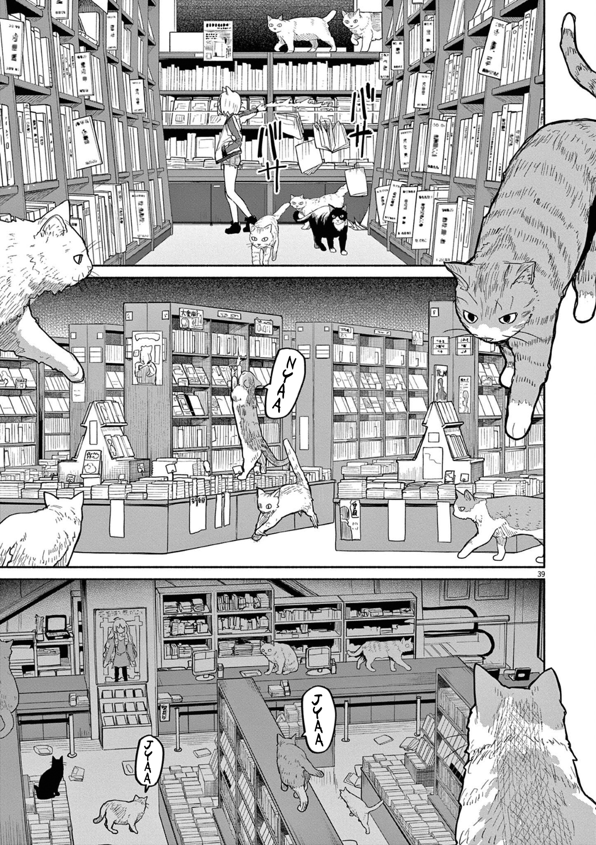 Mysteries, Maidens, And Mysterious Disappearances - Vol.5 Chapter 47: 47Th Mystery: That Cat's Family Part 4