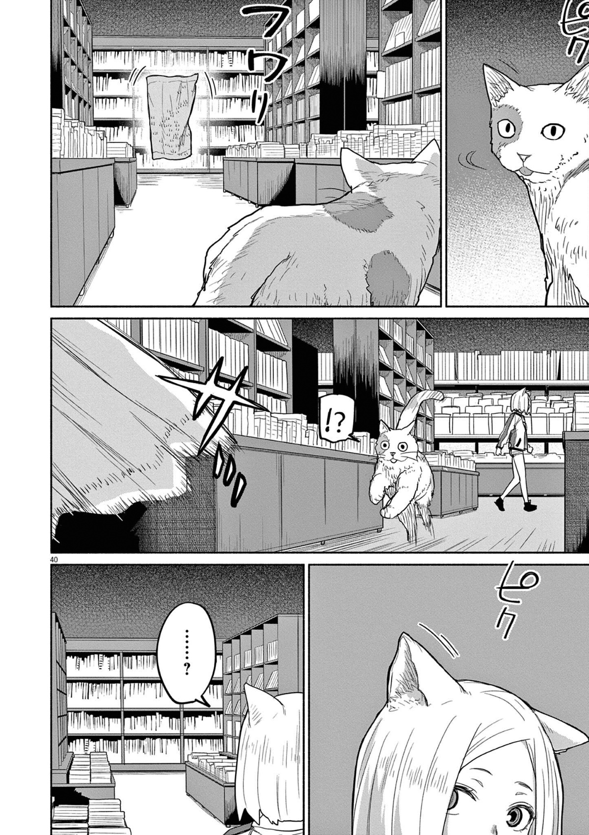 Mysteries, Maidens, And Mysterious Disappearances - Vol.5 Chapter 47: 47Th Mystery: That Cat's Family Part 4