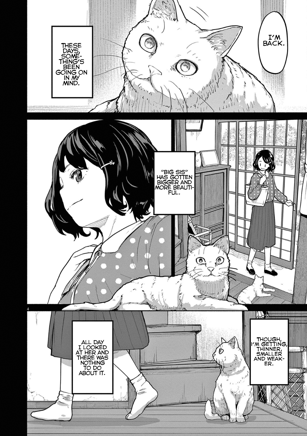 Mysteries, Maidens, And Mysterious Disappearances - Vol.5 Chapter 49: 49Th Mystery: That Cat's Family Part 6