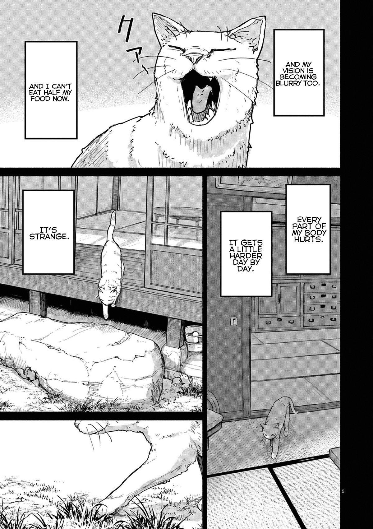 Mysteries, Maidens, And Mysterious Disappearances - Vol.5 Chapter 49: 49Th Mystery: That Cat's Family Part 6