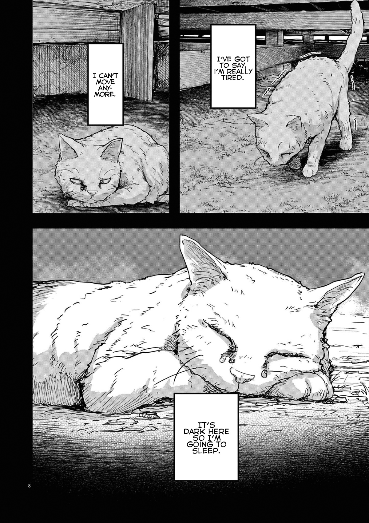 Mysteries, Maidens, And Mysterious Disappearances - Vol.5 Chapter 49: 49Th Mystery: That Cat's Family Part 6