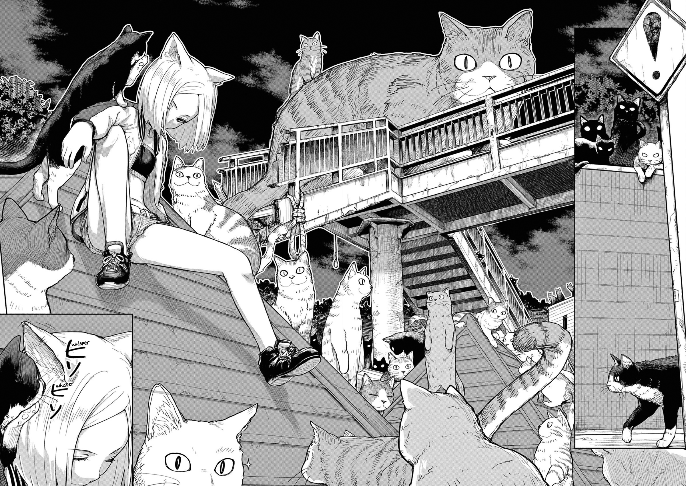 Mysteries, Maidens, And Mysterious Disappearances - Vol.5 Chapter 46: 46Th Mystery: That Cat's Family Part 3