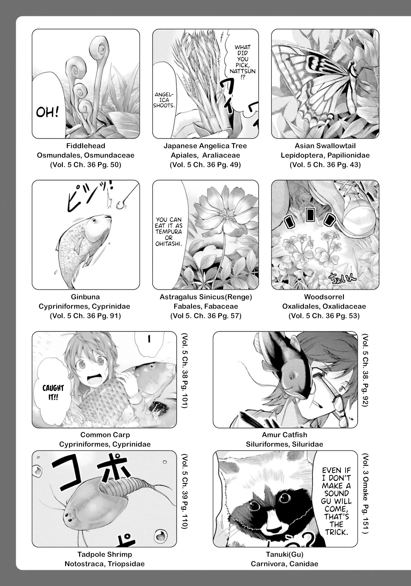 Non Non Biyori Remember - Vol.1 Chapter 3.5: Noncyclopedia