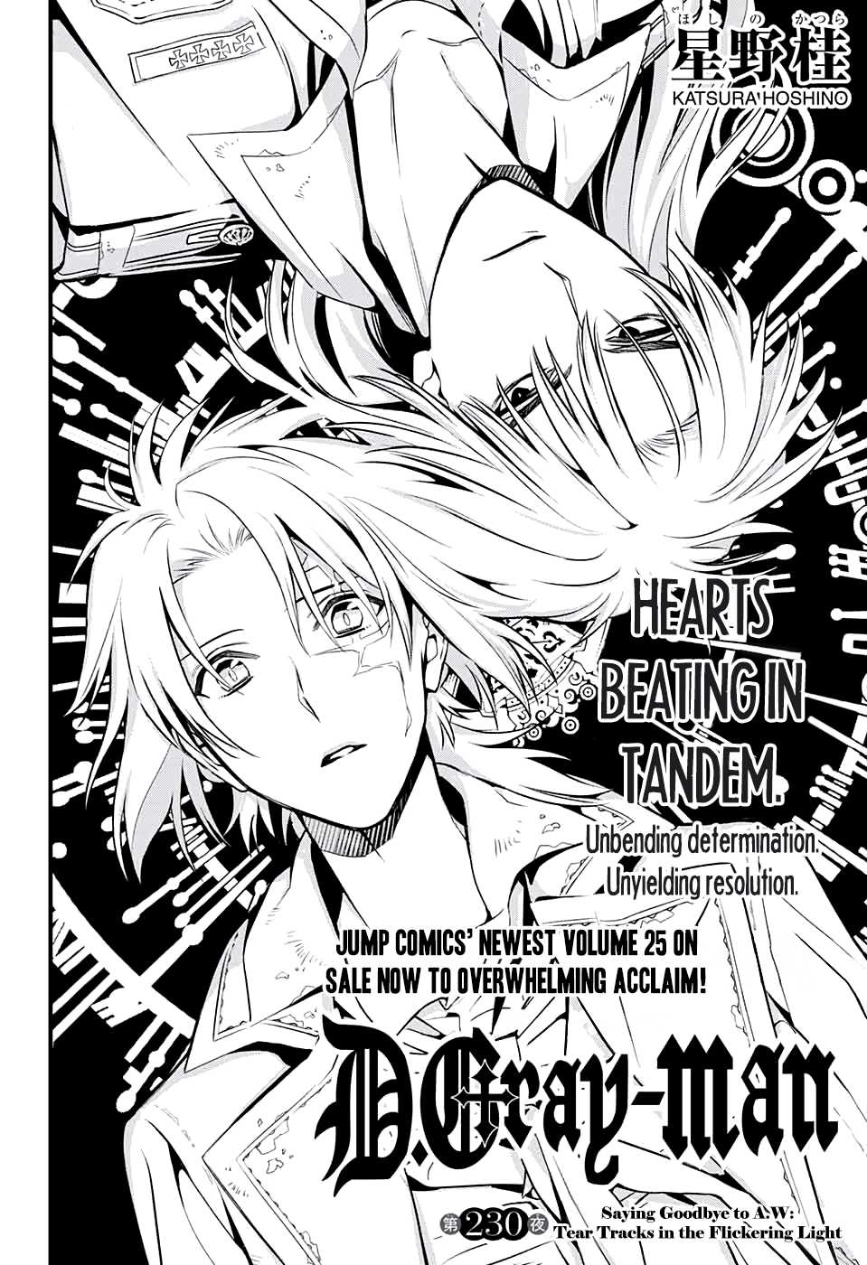 D.gray-Man - Chapter 230: Saying Goodbye To A.w - Tear Tracks In The Flickering Light