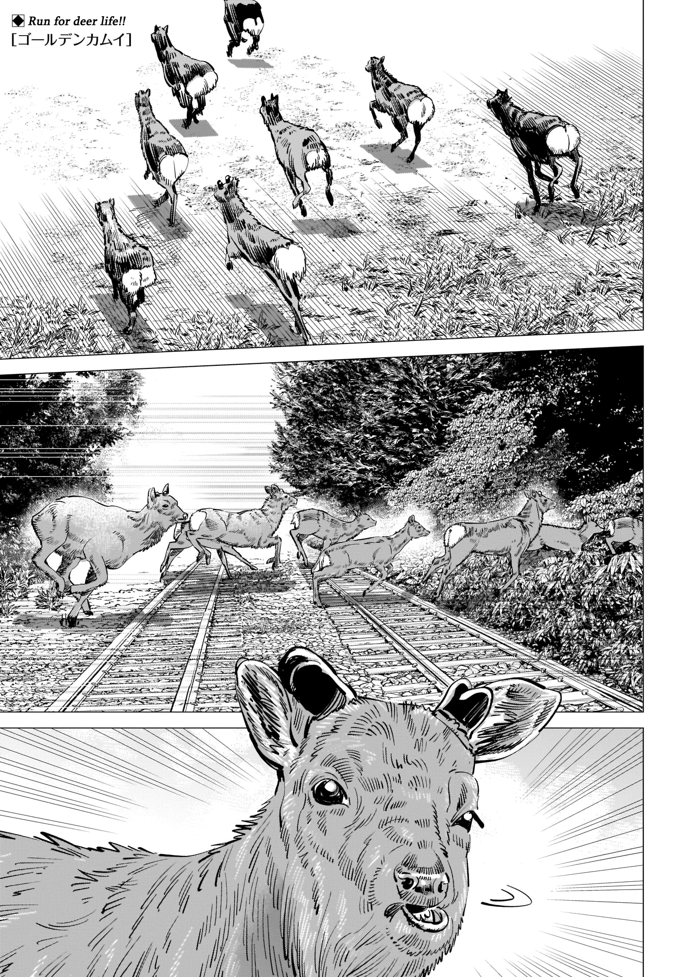 Golden Kamui - Chapter 303: Runaway Train