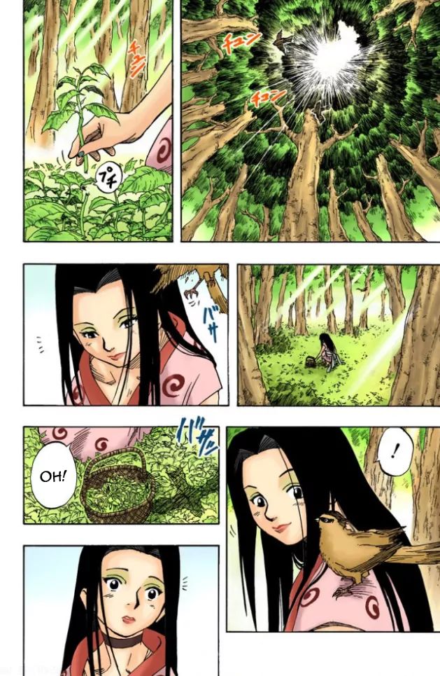 Naruto - Full Color - Vol.3 Chapter 21: Encounter In The Forest...!