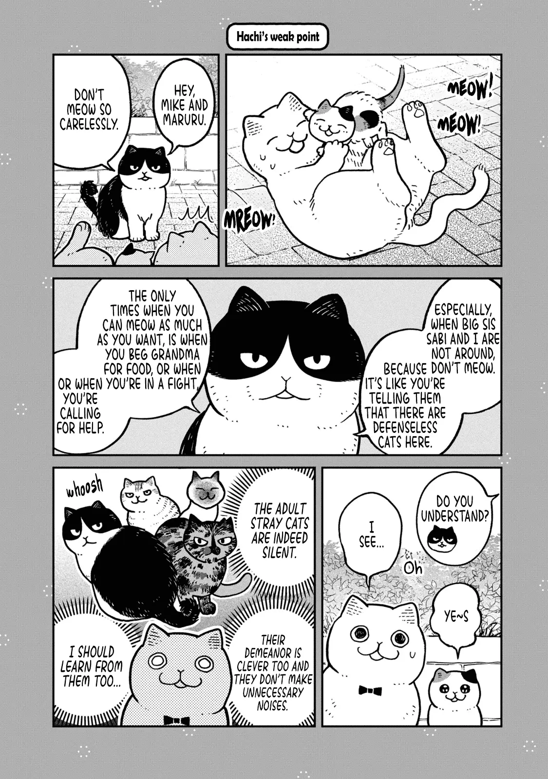 Cat Partners: Maruru And Hachi - Vol.3 Chapter 28.1: Volume 3 Bonus Chapters And Extra Pages