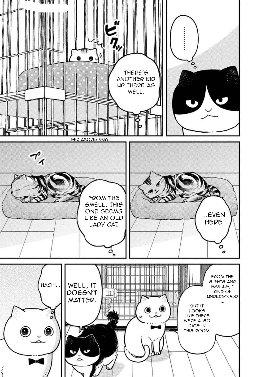 Cat Partners: Maruru And Hachi - Chapter 29: Moving Greetings