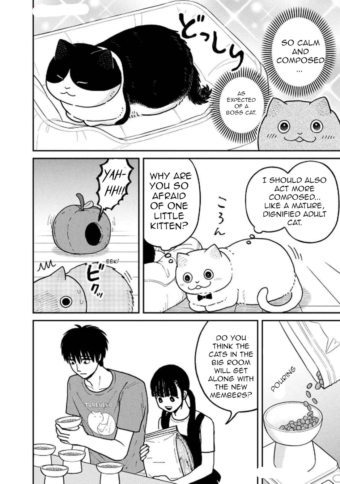 Cat Partners: Maruru And Hachi - Chapter 29: Moving Greetings