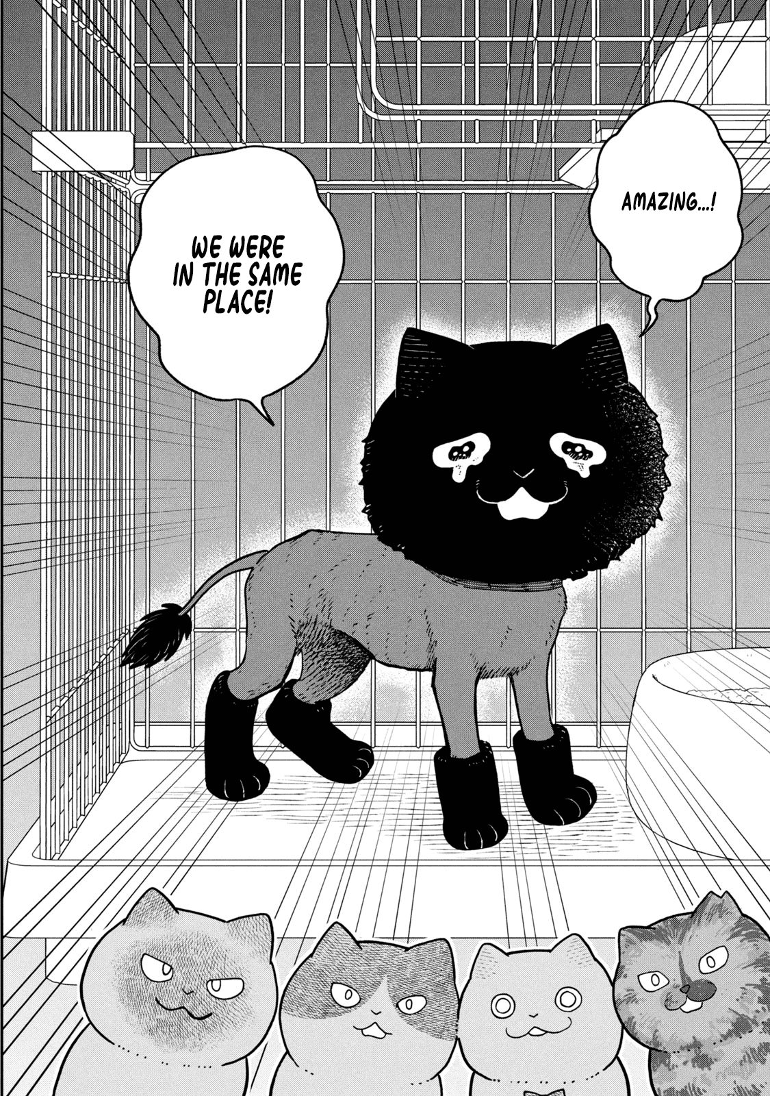 Cat Partners: Maruru And Hachi - Vol.3 Chapter 28: Gathered Again