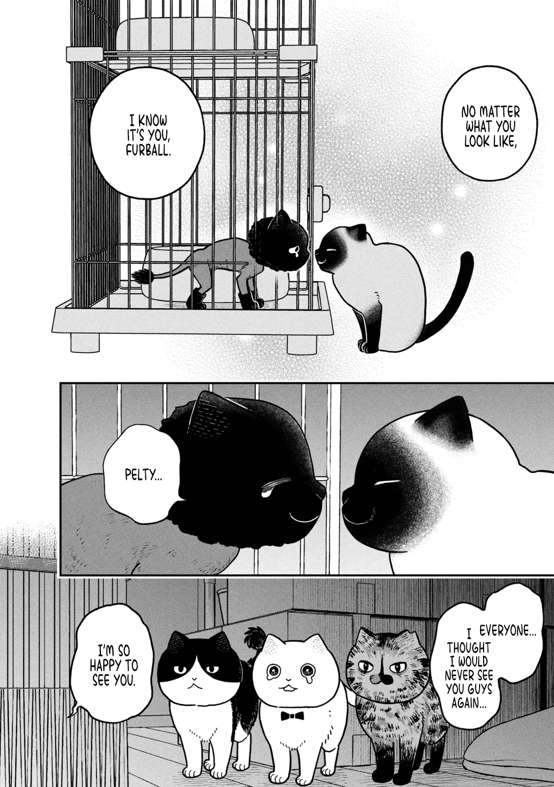 Cat Partners: Maruru And Hachi - Vol.3 Chapter 28: Gathered Again