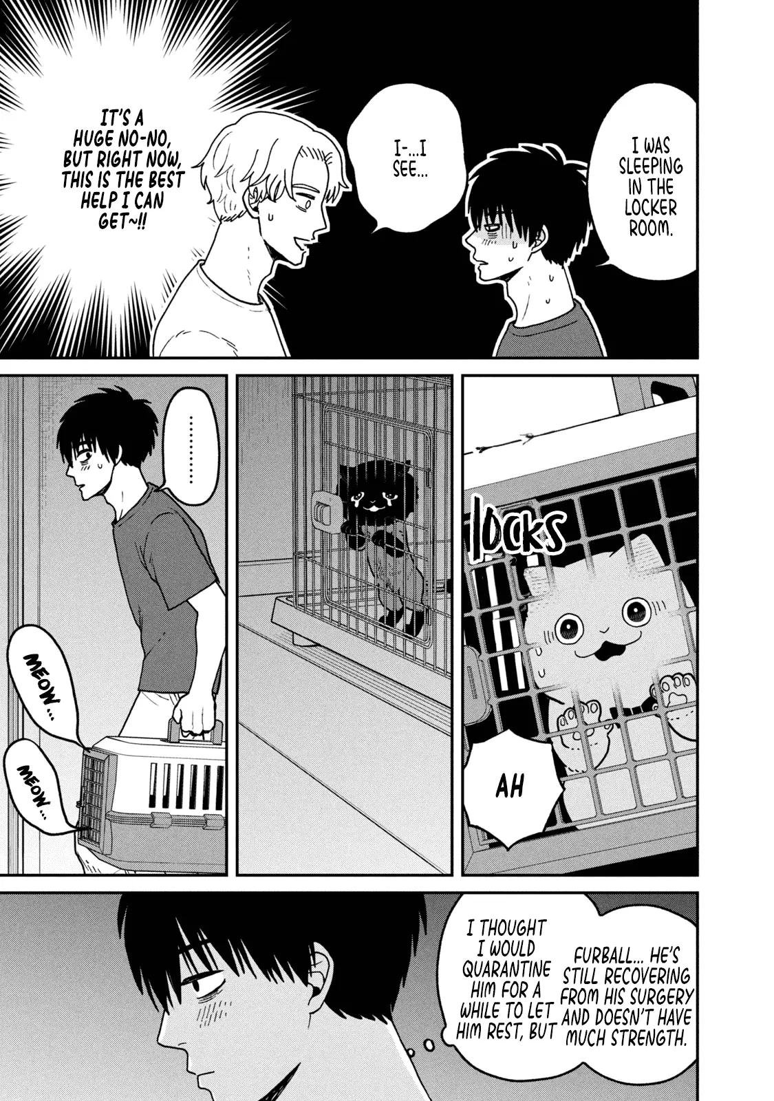 Cat Partners: Maruru And Hachi - Vol.3 Chapter 28: Gathered Again