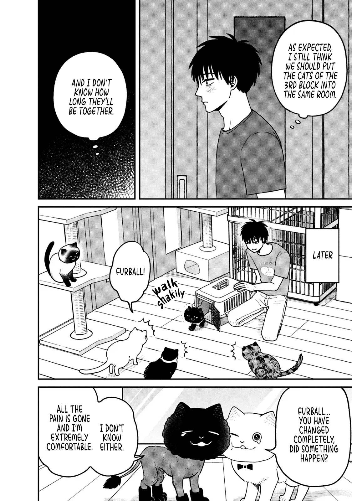 Cat Partners: Maruru And Hachi - Vol.3 Chapter 28: Gathered Again