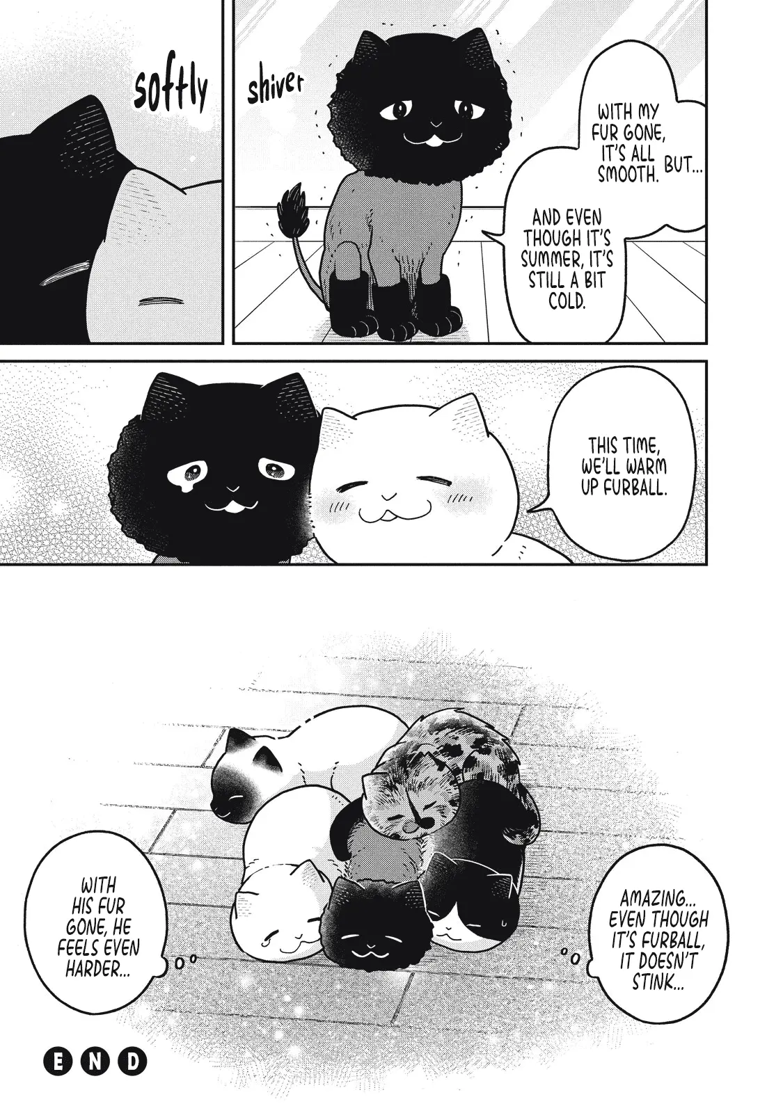 Cat Partners: Maruru And Hachi - Vol.3 Chapter 28: Gathered Again