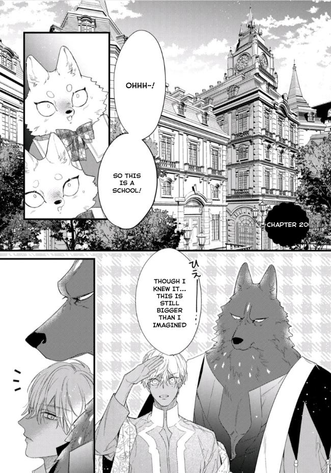 Petit Mignon - Chapter 20