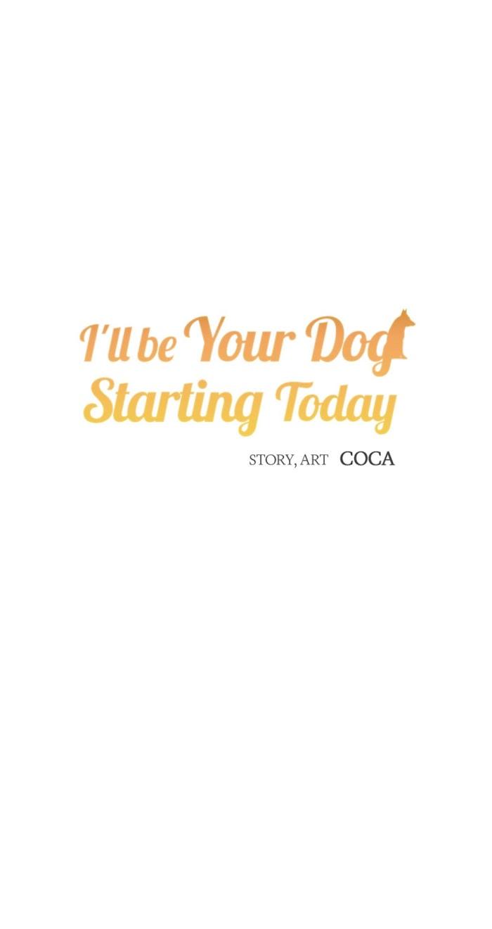 I'll Be Your Stray Dog - Chapter 11