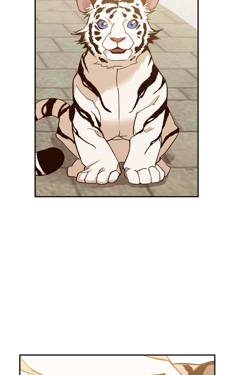 Goddess’s Way Of Attacking Tigers - Chapter 1