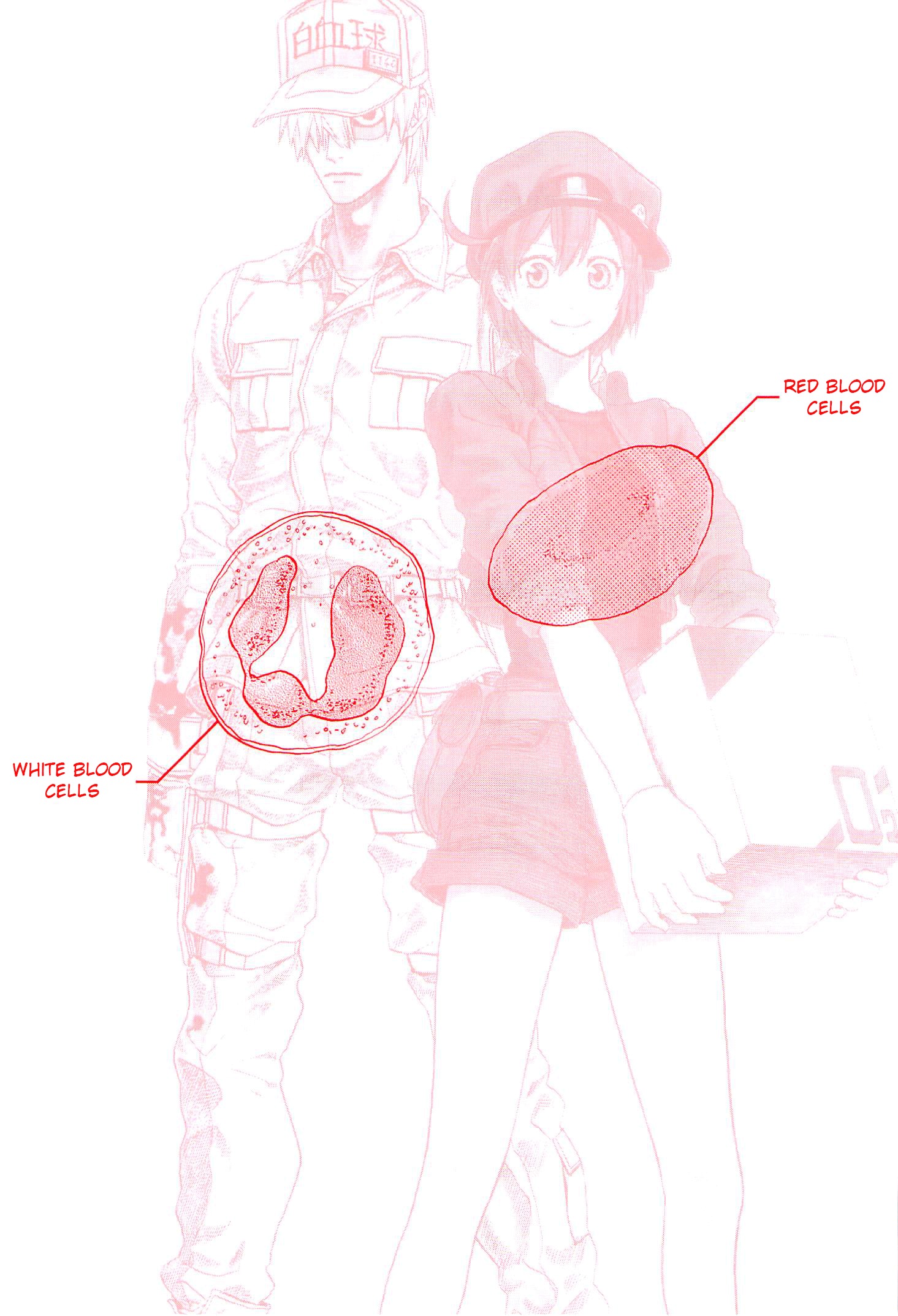 Hataraku Saibou - Vol.1 Chapter 1 : Pneumococcus