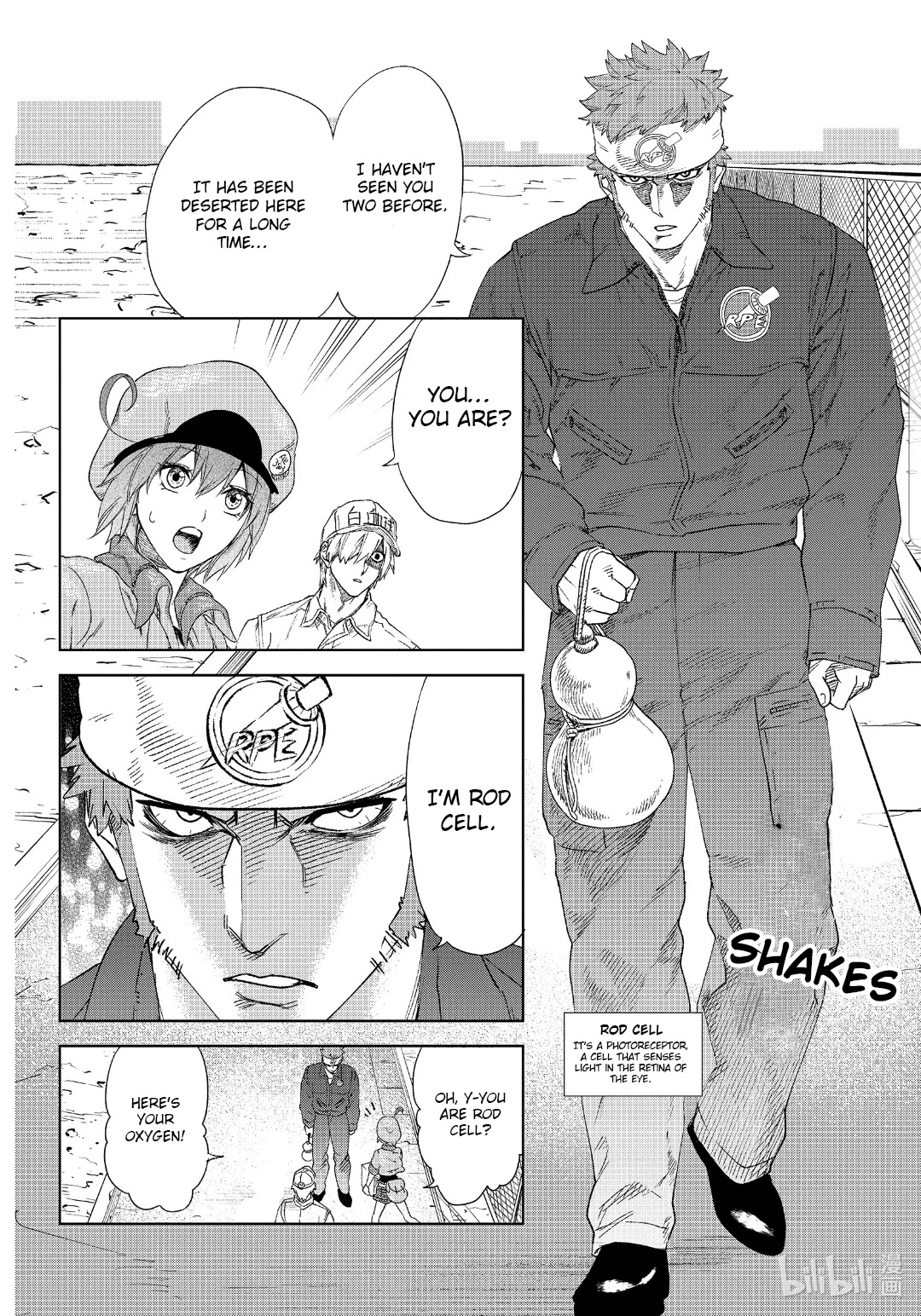 Hataraku Saibou - Chapter 28: Ips Cells