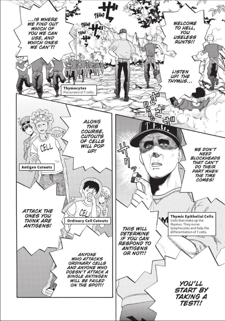 Hataraku Saibou - Chapter 12