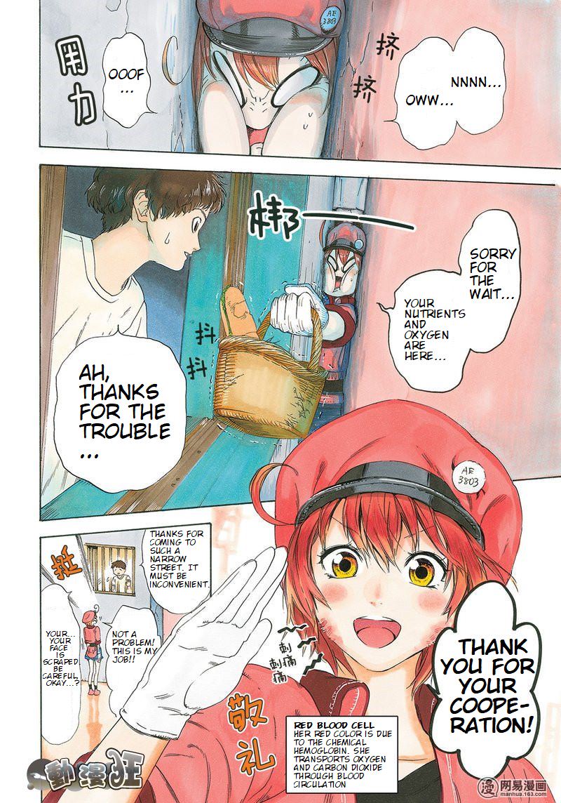 Hataraku Saibou - Chapter 26: Bump