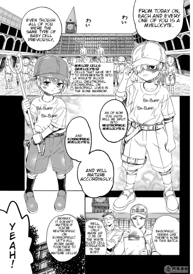 Hataraku Saibou - Chapter 27: Left Shift