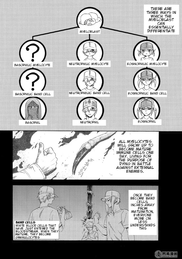 Hataraku Saibou - Chapter 27: Left Shift