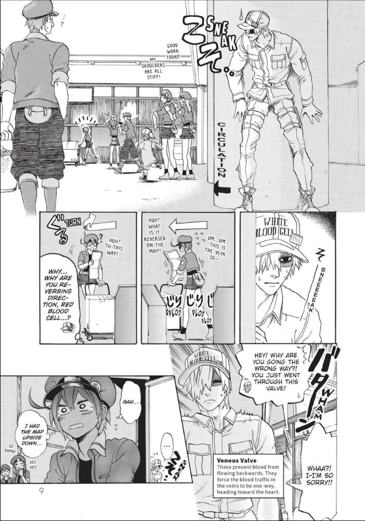 Hataraku Saibou - Chapter 10