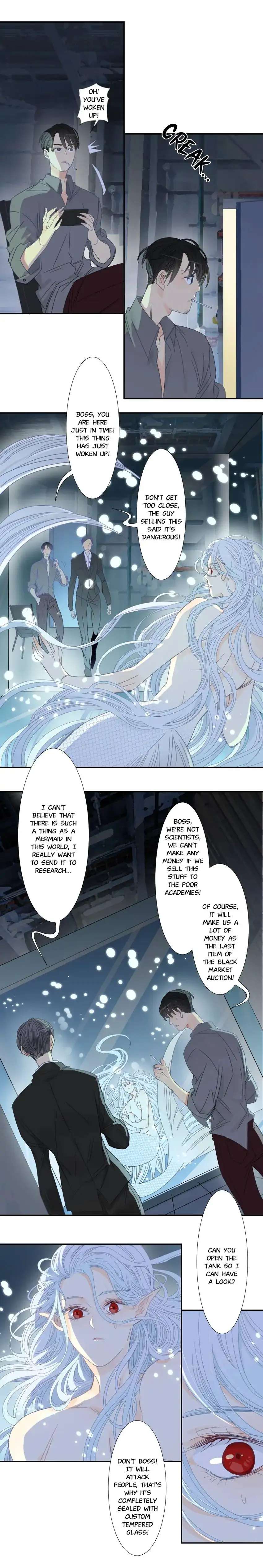 My Mermaid At Home - Chapter 41