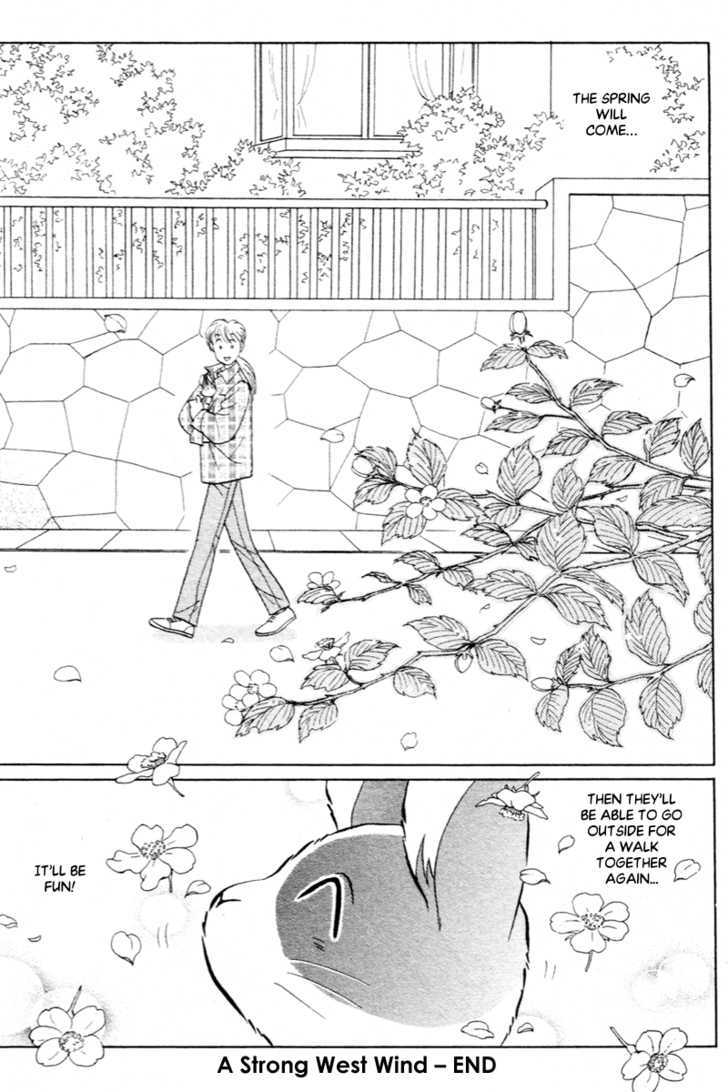 Pikupiku Sentarou Selection: Funwari Haru No Maki - Vol.3 Chapter 15 : A Strong West Wind