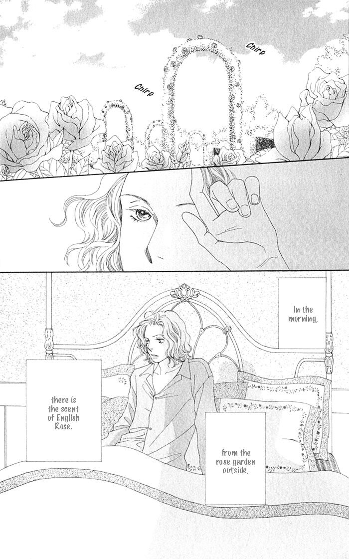 Hana Yori Dango - Vol.36 Chapter 241.5