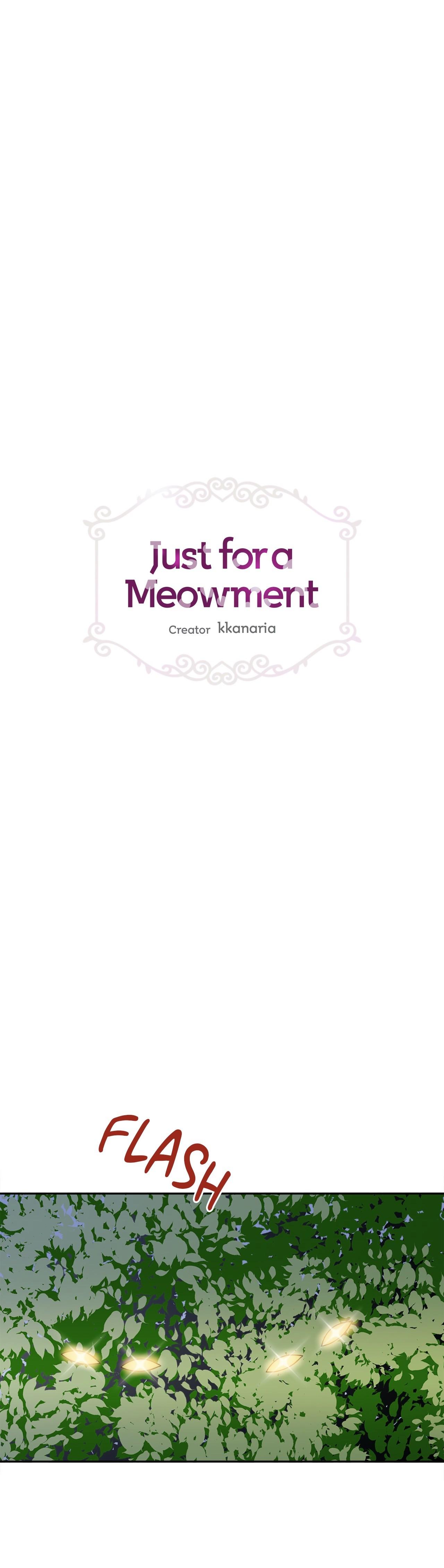 Just For A Meowment - Chapter 97