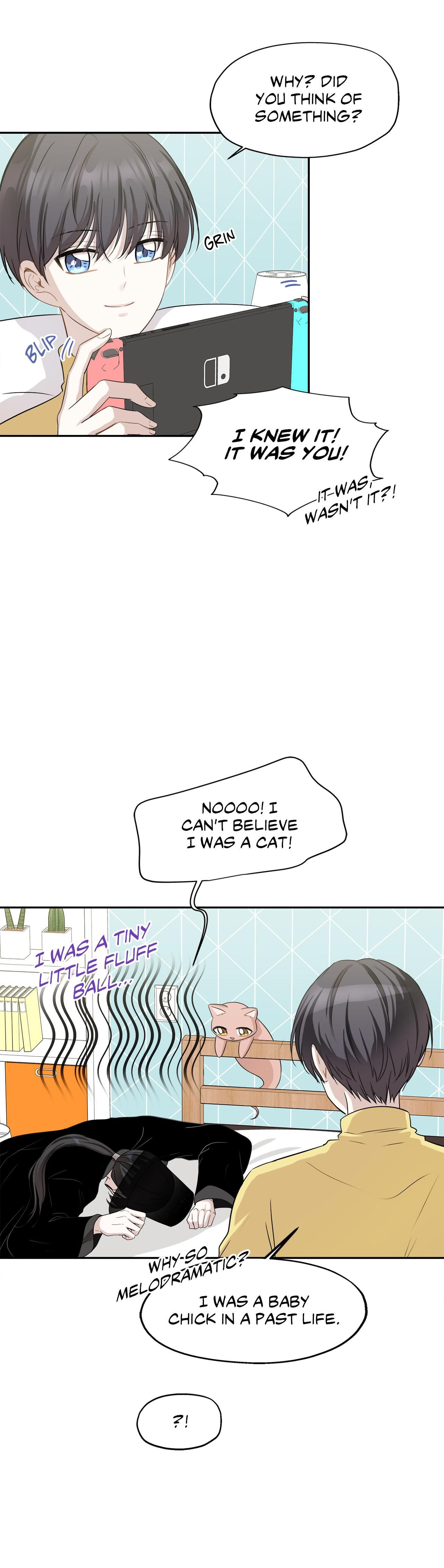 Just For A Meowment - Chapter 100