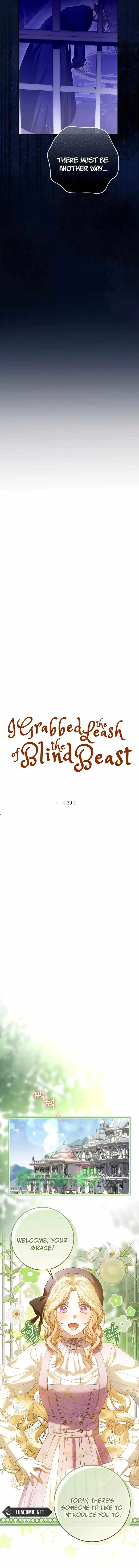 I Grabbed The Leash Of The Blind Beast - Chapter 30