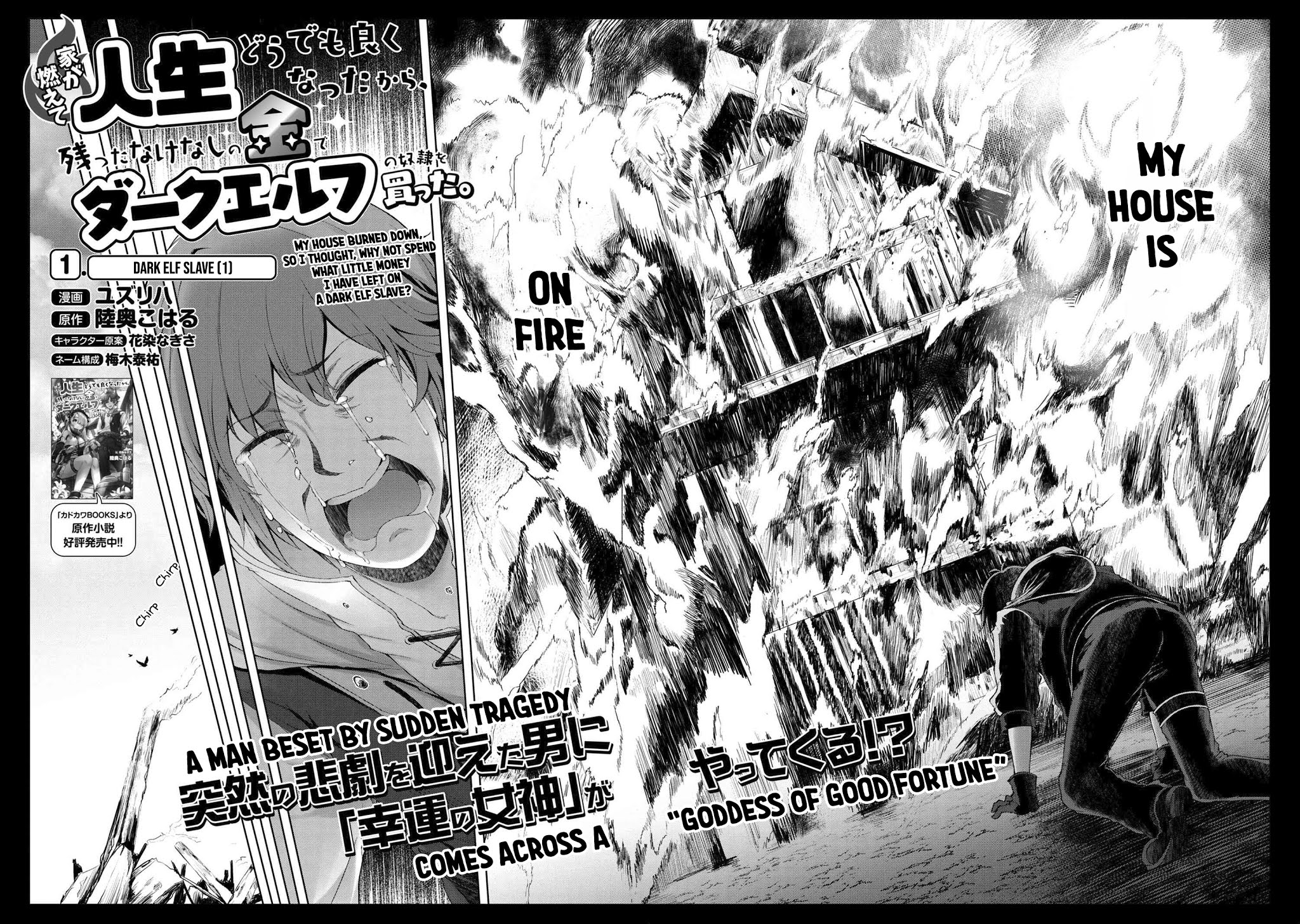 Ie Ga Moete Jinsei Dou Demo Yoku Natta Kara, Nokotta Nakenashi No Kin De Dark Elf No Dorei O Katta - Chapter 1: Dark Elf Slave (1)