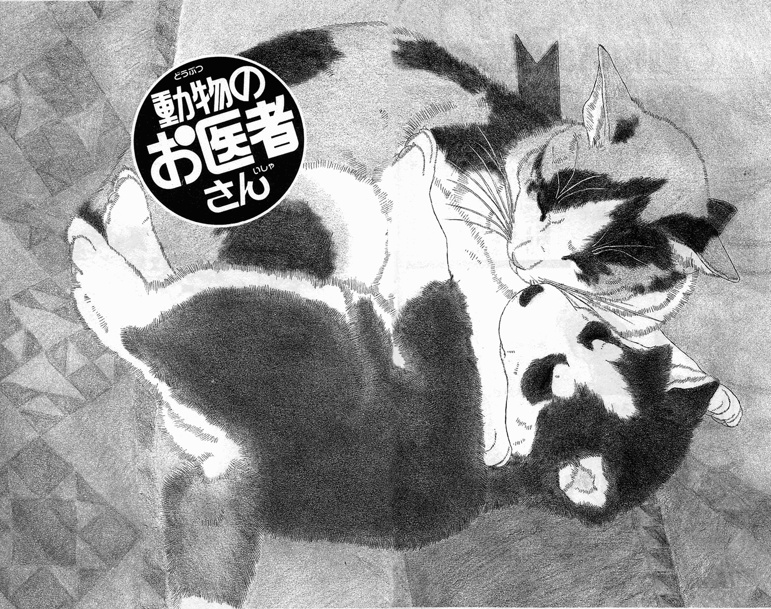 Doubutsu No Oishasan - Vol.11 Chapter 100