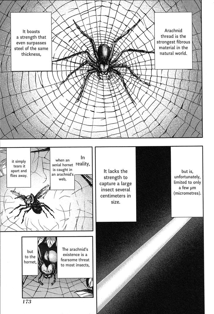 Arachnid - Vol.13 Chapter 66 : I Have No Choice But To Survive