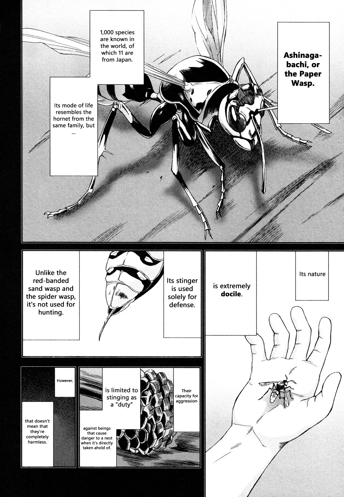 Arachnid - Vol.13 Chapter 64 : I Am Suzumebachi