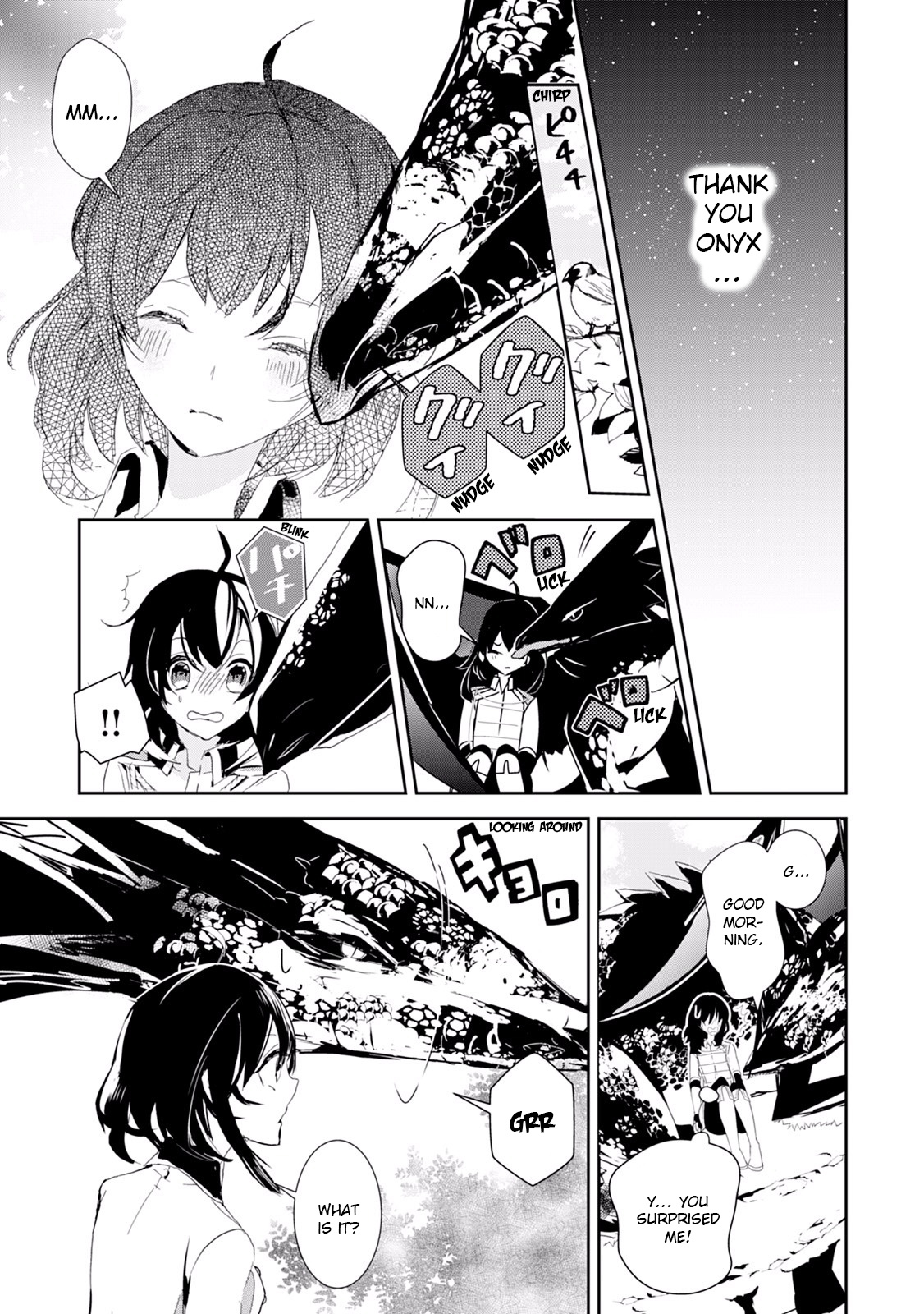 Akachan Ryuu No Osewagakari Ni Ninmei Saremashita - Vol.2 Chapter 11