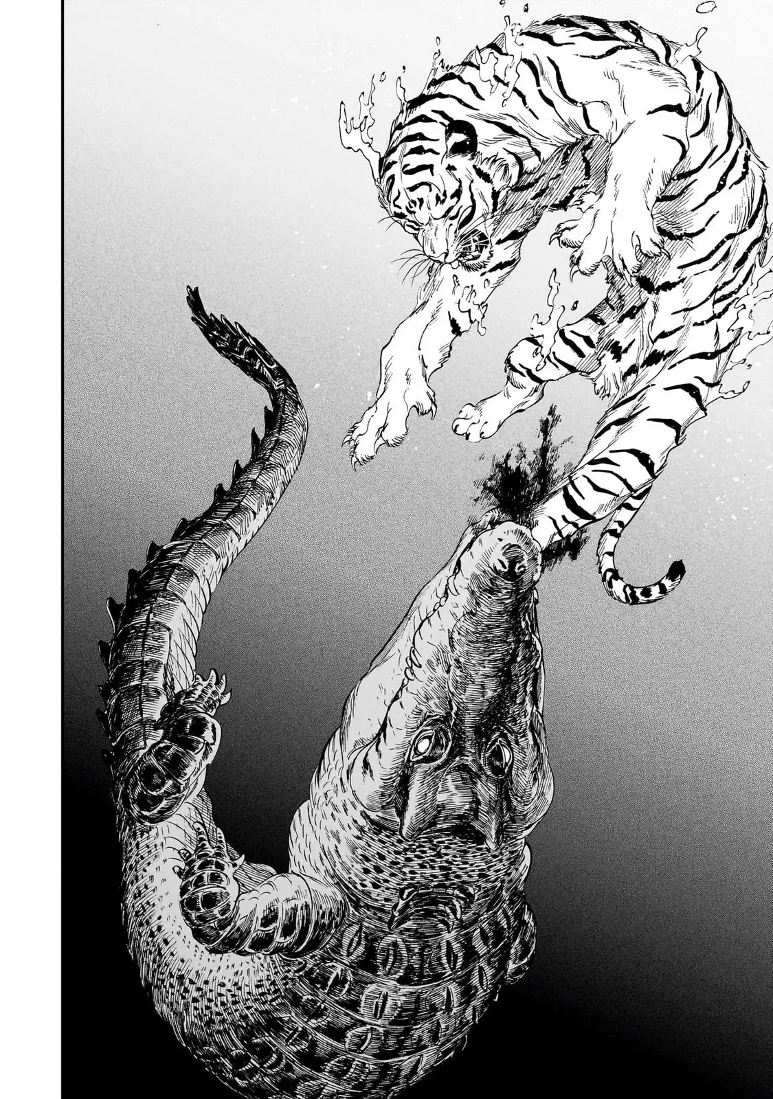 The Tiger Still Won't Eat The Dragon - Vol.3 Chapter 20: Protecting Each Other