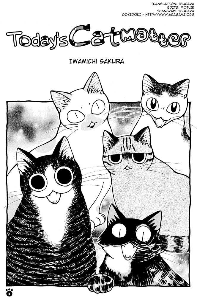 Honjitsu No Neko - Vol.1 Chapter 1 : Iwamichi-San S Five Cats