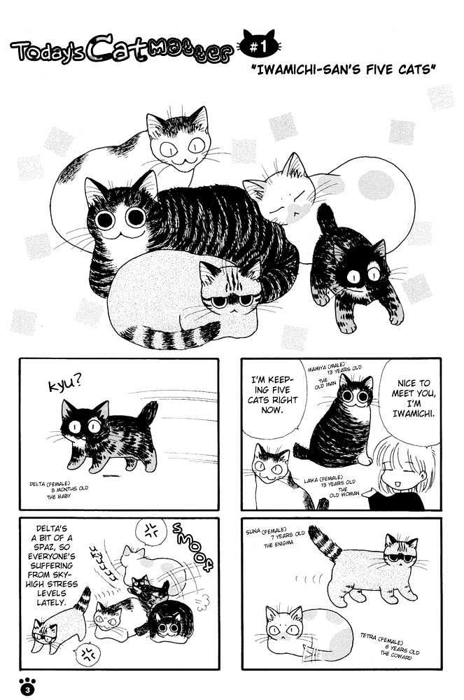 Honjitsu No Neko - Vol.1 Chapter 1 : Iwamichi-San S Five Cats