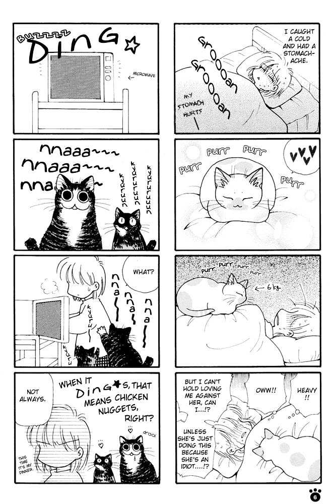 Honjitsu No Neko - Vol.1 Chapter 1 : Iwamichi-San S Five Cats