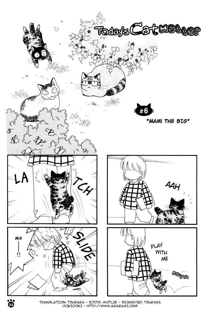 Honjitsu No Neko - Vol.1 Chapter 6 : Mami The Big