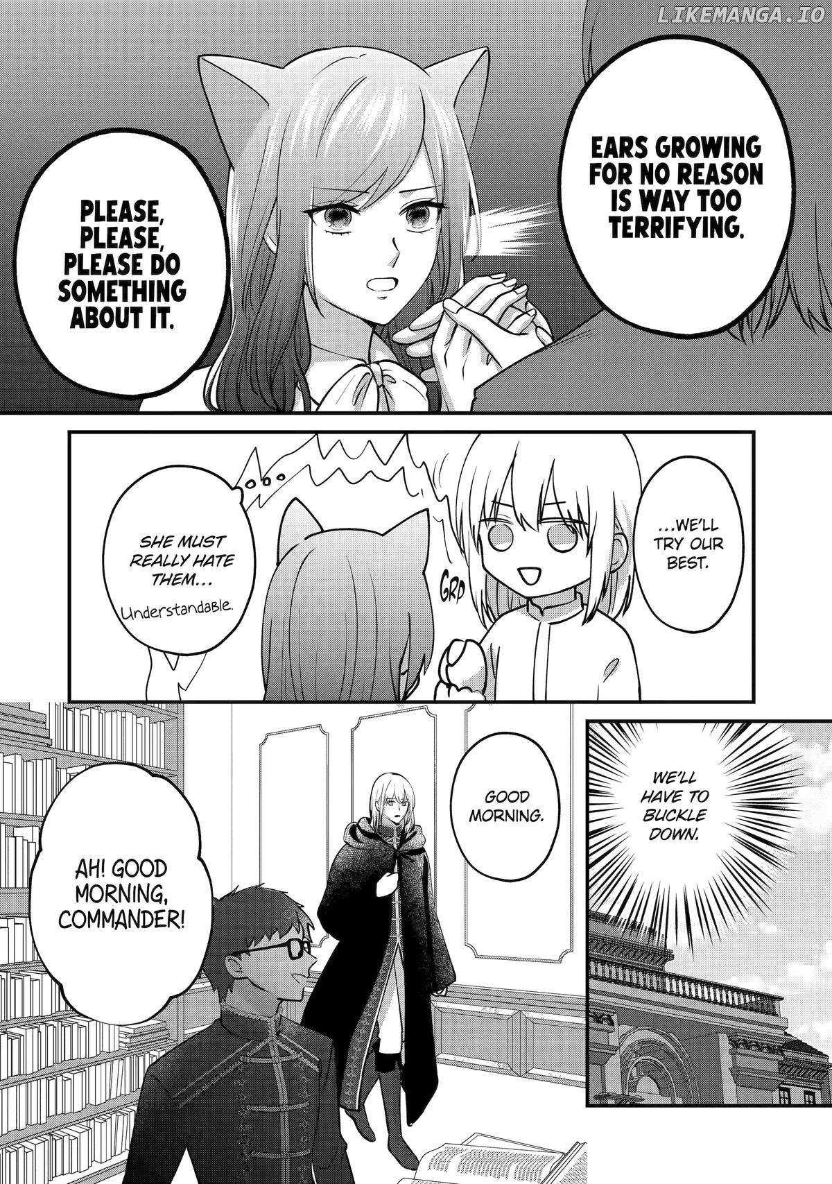 The Commander Sorcerer's Contract Marriage «Official» - Chapter 8